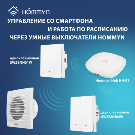 Вытяжка для ванной диаметр 100 мм Ballu BAF-FW 100 N в Москве