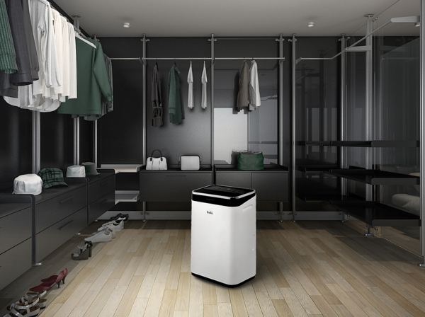 Бытовой осушитель воздуха Ballu BD25ER в Москве