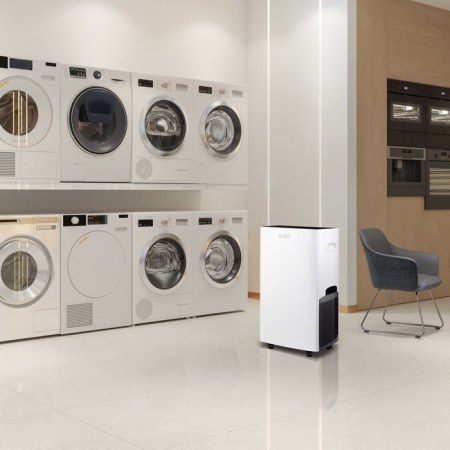 Бытовой осушитель воздуха Ballu BD40U в Москве