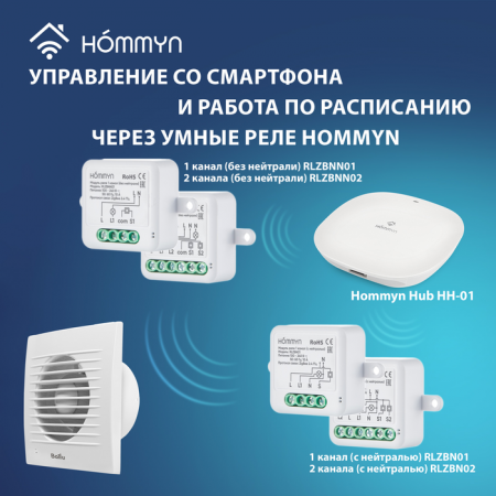 Вытяжка для ванной диаметр 150 мм Ballu BAF-FW 150 N в Москве